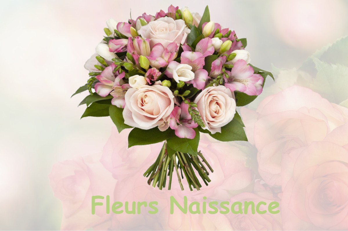 fleurs naissance CHAVAGNES-LES-REDOUX